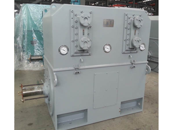 門頭溝Y, YKS, YKK 系列10kV (H355~630)中型高壓三相異步電動(dòng)機(jī)