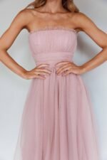 Fayette Strapless Mesh Midi Dress Blush - Image 4
